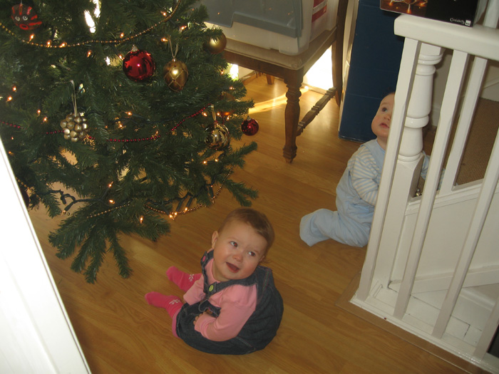 2010xmas03.jpg